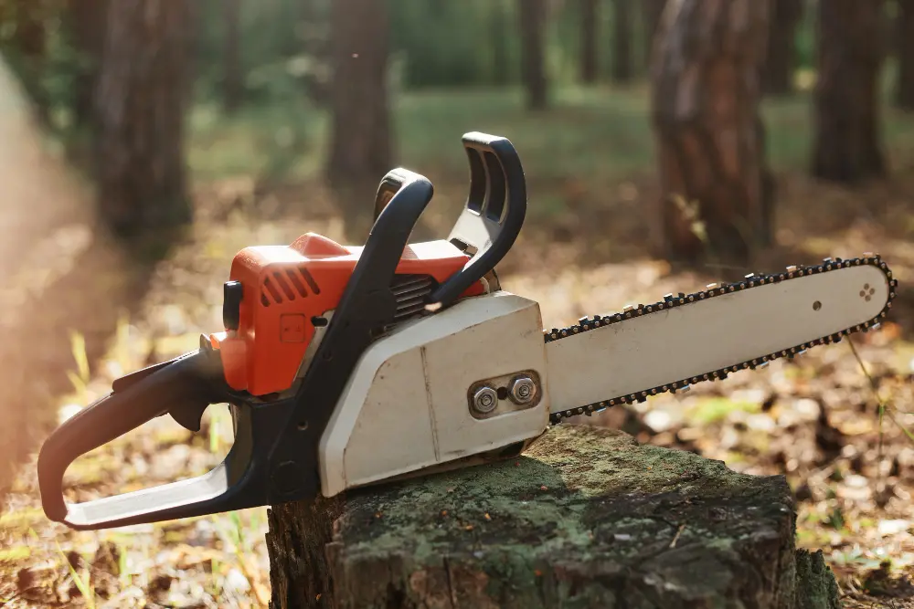 Specialized Tools Used For Tree Lopping And Removal 