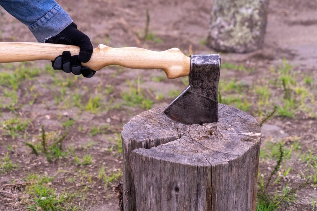 Average Costs for Stump Removal