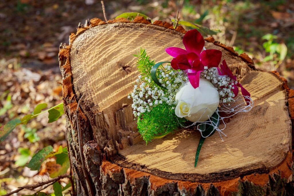 How to Decorate a Tree Stump