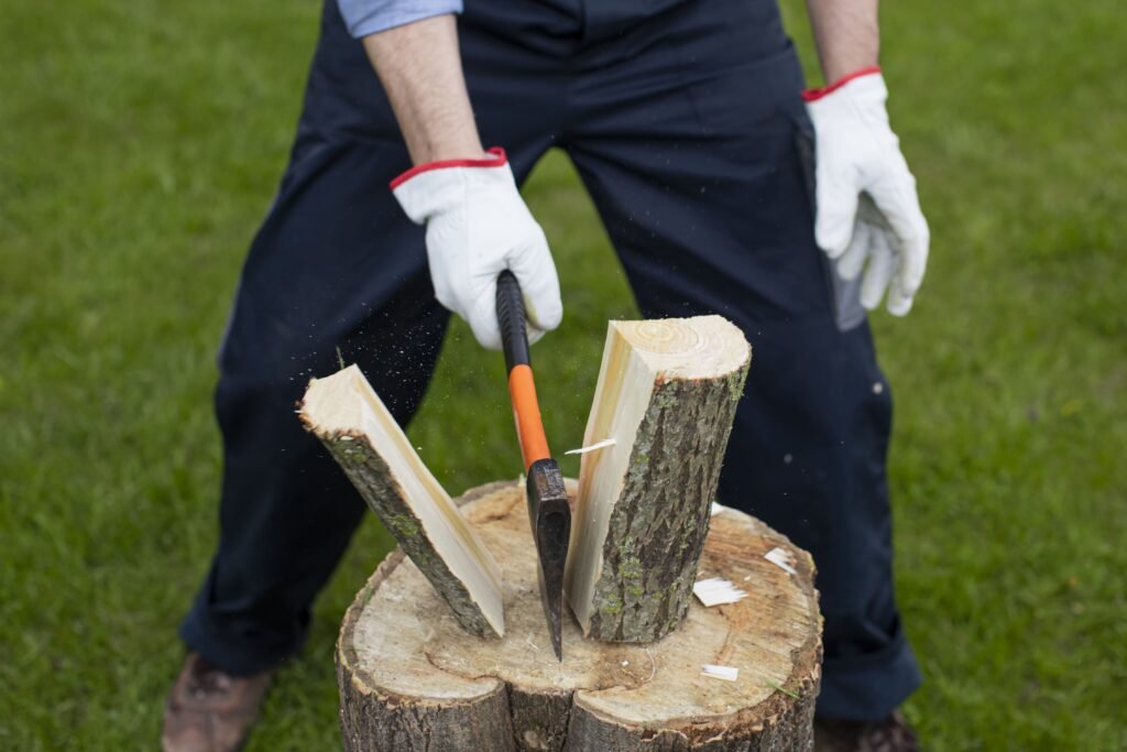 Influence Stump Removal Costs