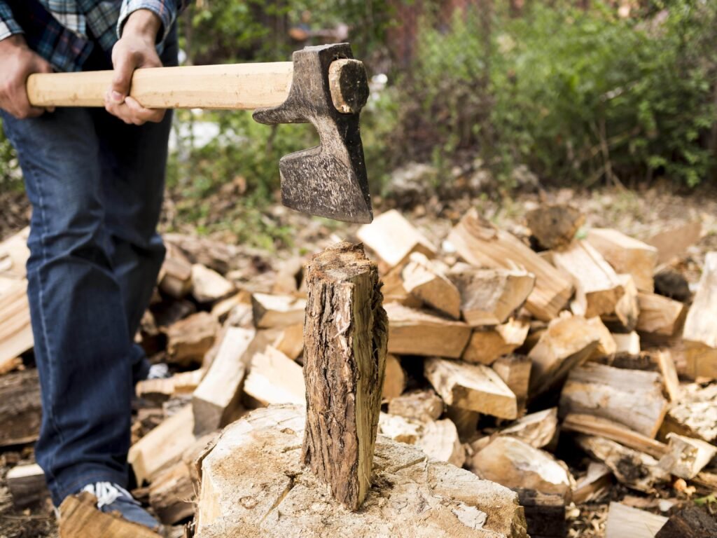 Tree Stump Removal Necessary