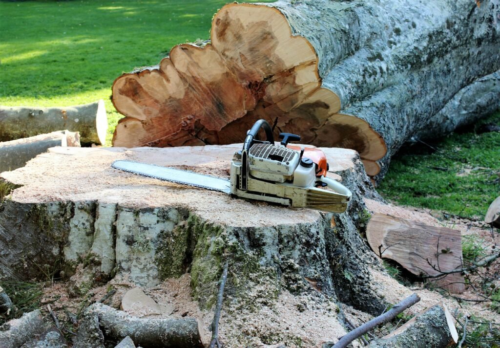 Using a Stump Grinder